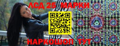 прущие грибы Заводоуковск