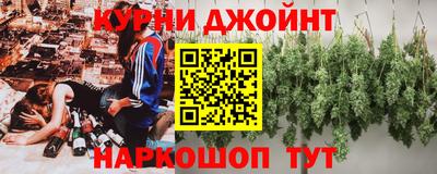 прущие грибы Заводоуковск