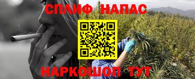 прущие грибы Заводоуковск