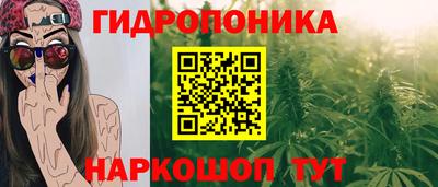 прущие грибы Заводоуковск