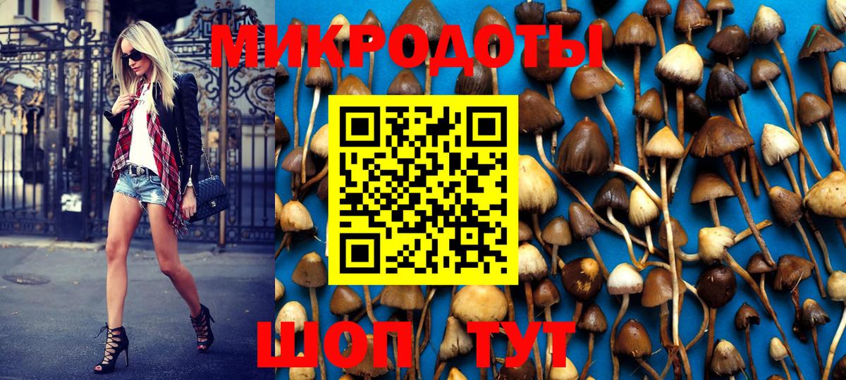 Малоярославец  Галлюциногенные грибы GOLDEN TEACHER  Псилоцибиновые грибы прущие грибы  Вход с VPN 