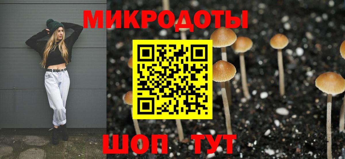 Галлюциногенные грибы MAGIC MUSHROOMS Малоярославец